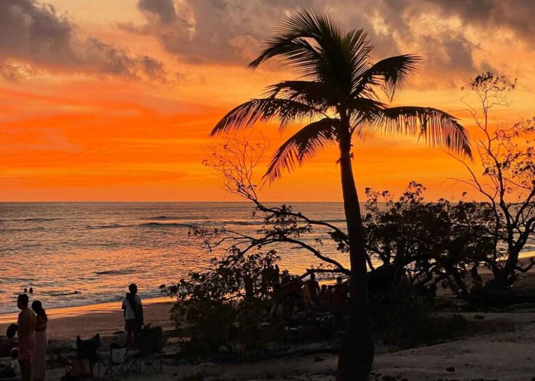 Costa Rica Beach Sunset with Palm Tree