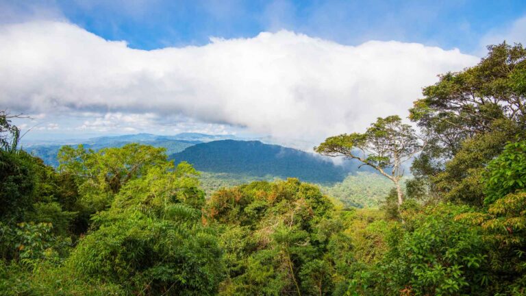 Costa Rica Green Season