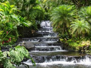Tabacon Hot Springs Steps
