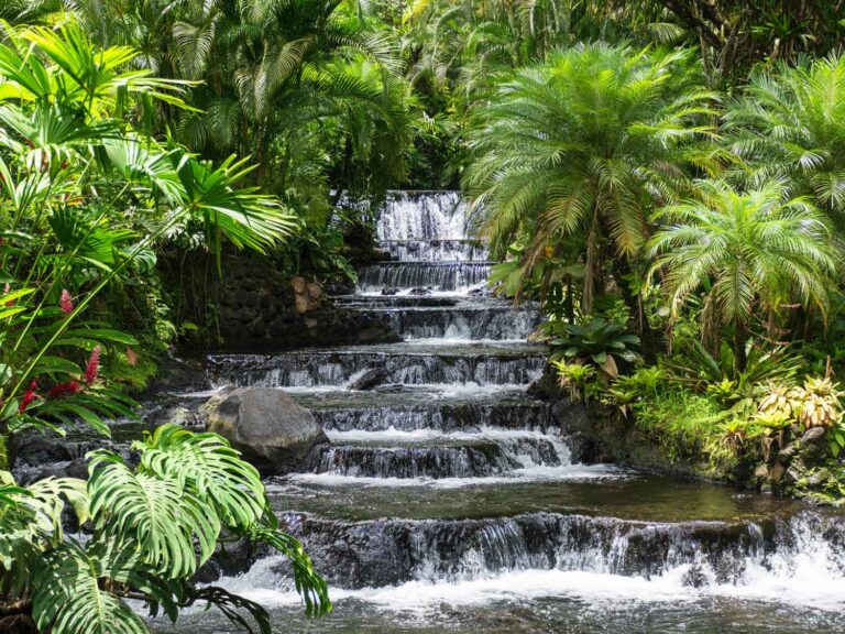 Tabacon Hot Springs Steps