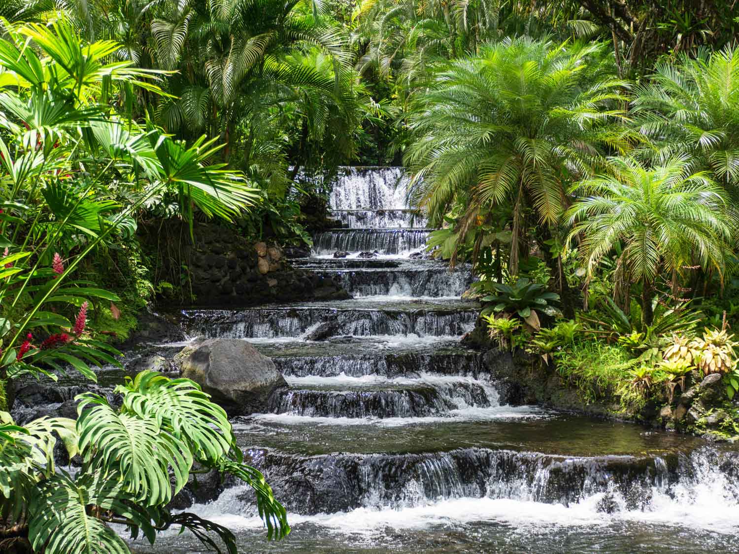 Tabacon Hot Springs Steps